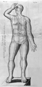 De Acupunctura af W.Ten Rhijn. London 1683. Første vestlige tekst, der omhandler akupunktur. af Unknown artist