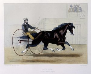 Dexter trotteur - i "" Kentauren"" af Unknown artist