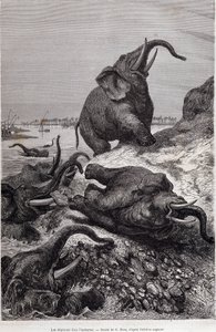 Elefanter, der klatrer på bredden af en flod, på grund af en ekspedition til Centralafrika bestilt af Sir Samuel White Baker, "Tour du monde" af Unknown artist