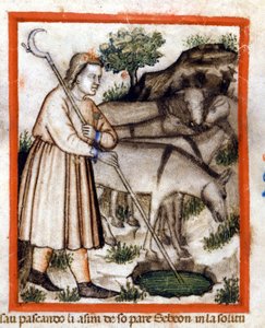Esa græsser æsler - Pentateuken. Miniaturer fra codex 212 (eller Padovano Codice eller Bible of Padua) 1390-1400 Rovigo, Accademia dei Concordi af Unknown artist