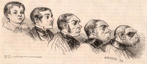 Evolution af et barn til voksen alder og degeneration af den voksne til at være et udyr af Unknown