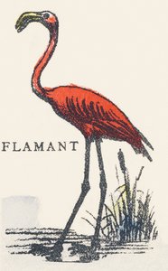 F: flamingo af Unknown artist