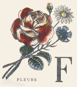 F: blomster af Unknown artist