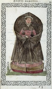 Flamsk Demoiselle - i "" Habits et effigies"" af Jean Sulperius af Unknown artist