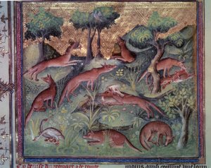 Rævejagt fjerkræ. Miniature fra manuskriptet "" Le livre de la chasse"" (folio 34v) af Gaston Phoebus (1331-1391) dit Gaston III Comte De Foix af Unknown artist