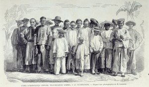 De franske koloniers historie: Kinesiske immigranter, der arbejder i Guadeloupe. Tegning efter fotografi af det sene 19. århundrede Chartres musee des Beaux Arts af Unknown artist