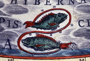Horoskop: stjernetegn, Fiskene. 1500-tals stik. af Unknown artist