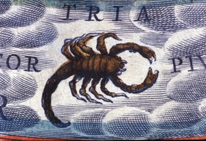 Horoskop: stjernetegn, Skorpionen. af Unknown artist