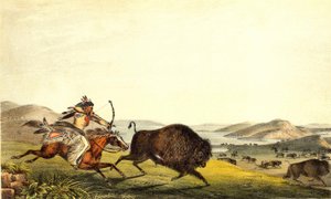 Jagt bison i Nordamerika. sd. 19. århundrede. af Unknown artist