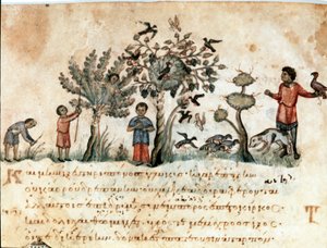 Jagtscene med høge og indsamling af frugter Miniature taget fra jagtmalkningen "" The Cynegetics"" af Oppian (Oppian eller Oppianus) fra Syrien (3. århundrede e.Kr.) dedikeret til Caracalla. Venedig fra det 11. århundrede. Biblioteca Marciana af Unknown artist