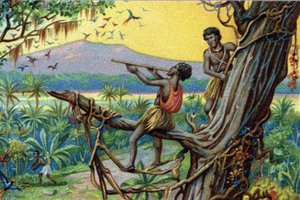 Jagtteknik. Jagt kolibrier i den polynesiske øgruppe: indbyggerne bruger bid. Kromolitografi af det 19. århundrede. af Unknown artist