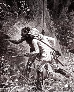 I gummimarkerne (Hevoea) i Guyana-junglen af Unknown artist