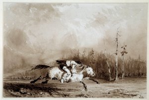 Indian of America: "" En hest i galop og bærer en mand bundet op"" Anonym tegning. La Rochelle fra det 19. århundrede, Musee du Nouveau Monde af Unknown artist