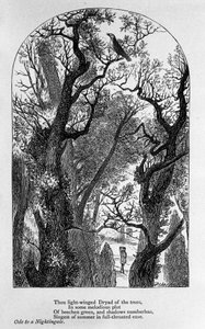 John Keats: Ode til en nattergal af Unknown artist