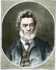 Jules Favre (1809-1880), fransk politiker og advokat. af Unknown artist