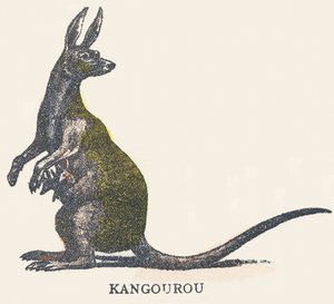 Q: kænguru af Unknown artist