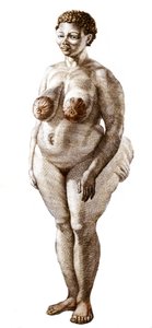 La Venus Hottentote, kvinde af racen Bochiman (The Hottentot Venus,) gravering fra 1815. af Unknown artist