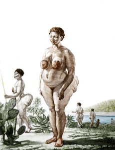 La Venus Hottentote, kvinde af racen Bochiman (The Hottentot Venus,) gravering fra 1815. af Unknown artist