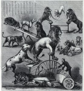 Les lions kjoler du Nouveau Cirque à Paris: forskellige tricks af et akrobatisk nummer med løver, tæmmere og hunde. Stik i ""La Nature"" 1890. Privat samling. af Unknown artist