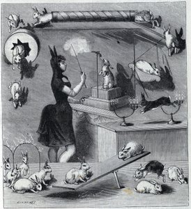 Les rabbits dresses du Nouveau Cirque i Paris: tamper i kaninkostume, der lærer dyret de forskellige numre. Stik i ""La Nature"" 1890. Privat samling. af Unknown artist