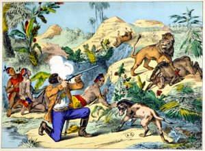 Løvejagt i det sydlige Afrika. 1800-tals gravering. af Unknown artist