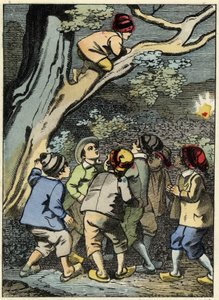 Lille Poucet klatrer på et træ og leder efter sin vej. Han samler et lys op i skoven. Illustration af Charles Perraults fortælling "" Le Pepetit Poucet" af Unknown artist