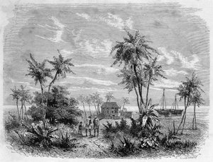 Livingstones hus i Zanzibar - "" Livingstones sidste rejse 1866-1873"" i "" Jorden rundt"", 2. sem. 1875 af Unknown artist