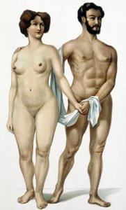 Mand og kvinde - medicinbog, slutningen af det 19. århundrede af Unknown artist