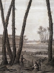 Memphis, udsigt over ruinerne (videnskabsmænd og arbejdende kunstnere) - i "" Beskrivelse af Egypten", Imperial Editions af Unknown artist