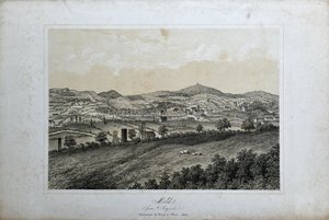 Skimmelsvamp (fra Argoed), ca. 1850 (litho på papir) af Unknown artist