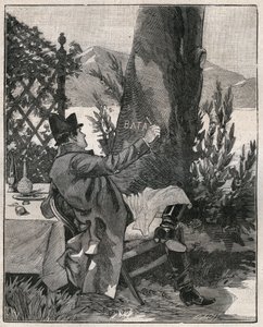 Napoleon Bonaparte (1769-1821) skrev ordet "Bataglia" på stammen af et laurbærtræ på øen Isola Bella ved Maggiore-søen (Lago Maggiore), tre dage før slaget ved Marengo i 1800. Indgravering fra 1885 i "" Les arts et metiers illustres” af Unknown artist