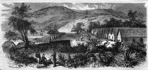 Ny Kaledonien - bodsmanden på øen Nou - Indgravering af 1870 af Unknown artist