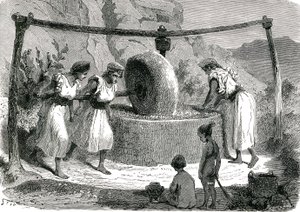Olivenmølle i Algeriet 1885 af Unknown artist
