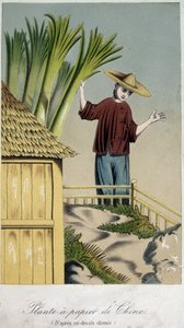 Papirfabrik, Kina - gravering af Unknown artist