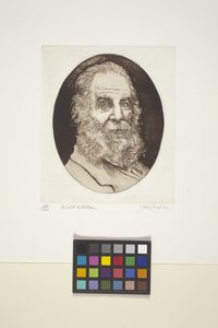 Portræt af Walt Whitman (blæk, tryk) af Unknown artist