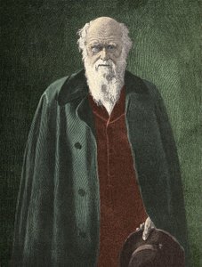 Portræt af Charles Darwin (1809 - 1882) af Unknown artist