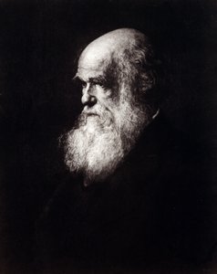 Portræt af Charles Robert Darwin (1809 - 1882) af Unknown artist