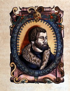 Portræt af Conrad Gesner (1516 - 1565) Zürich -læge efter dyrenes historie af Conrad Gesner, Tiguri 1560. Bibloideae Nazionale Braense. Milan af Unknown artist