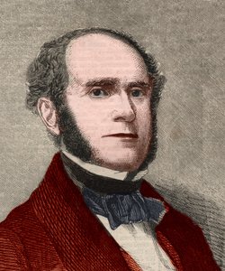 Portræt af Fitz-Greene (Fitz Greene) Halleck (1790-1867), amerikansk digter. Indgravering i "" The illustrated London News "" af 23. januar 1858. af Unknown artist