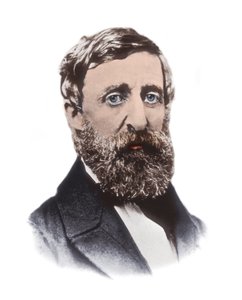 Portræt af Henry David Thoreau (1817-1862) - amerikansk essayist, digter, filosof, abolitionist, naturforsker, skattemodstander, udviklingskritiker, landmåler og historiker af Unknown artist