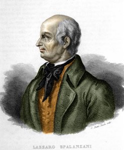 Portræt af Lazzaro Spalanzani (eller Spallanzani), italiensk biolog (1729 - 1799) af Unknown artist
