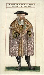 Portræt af Leonhart Fuchs: Botaniker - tysk læge (1501 - 1566) - i "" Of History Stirpium commentarii badges,..." af Leonhart Fuchs af Unknown artist
