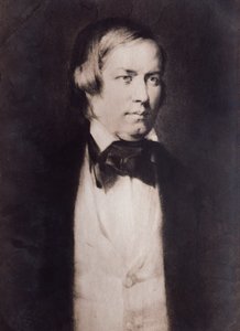 Portræt af Robert Schumann (gravering) af Unknown artist