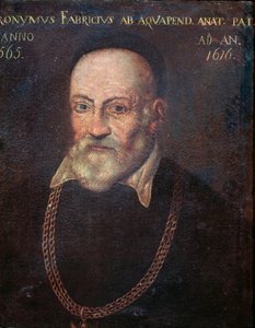 Portræt af banebrydende anatom og kirurg Hieronymus Fabricius (maleri af Unknown artist