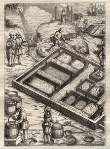 Fremstilling af salt ved at fordampe havvand i saltpander. Fra "" De re metallica"" af Georgius Agricola (Georg Bauer). (Basel 1556) - Saltproduktion: Havvand hældt i store skåle fordamper og efterlader saltdepot. Gravering fra "" De re metallica"" af G af Unknown artist