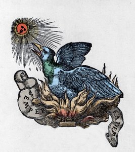 Repræsentation af en Føniks (eller Føniks), legendarisk fugl, genfødt fra sin aske. Indgravering af det 19. århundrede af Unknown artist