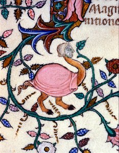 Repræsentation af et monster med en strudsekrop og et menneskehoved. Miniature af et manuskript fra det 14. århundrede. Milano, Biblioteca Nazionale Braidense. af Unknown artist