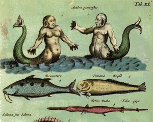 Repræsentation af en sirene og en triton, et fantastisk havvæsen beskrevet i et atlas over zoologi. Detalje. 17. århundrede af Unknown artist