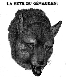 Repræsentation af Bete du Gevaudan. af Unknown artist