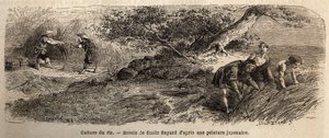 Risdyrkning: høst i oktober, stængler genforenes i støvler. Indgravering til illustration af rejsen til Japan i 1863-1864 af Aime Humbert, minister for Det Schweiziske Forbund, i "Le tour du monde, nouveau journal des voyages", udgivet under ledelsen af Unknown artist